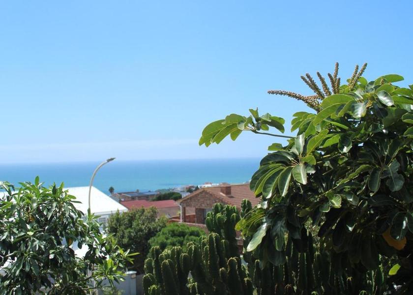 Eastern Cape Jeffreys Bay 