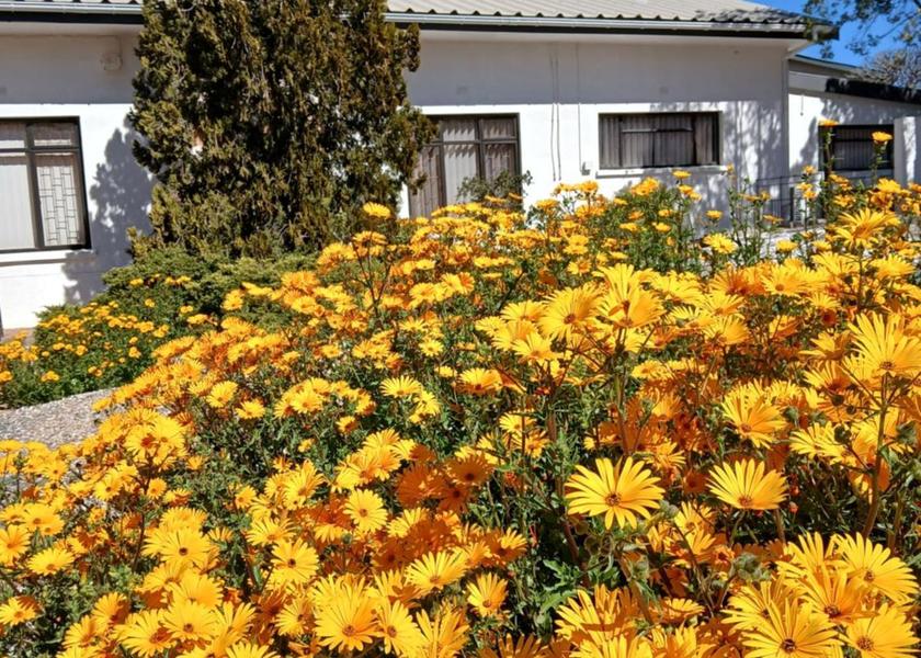 Northern Cape Nama Khoi garden