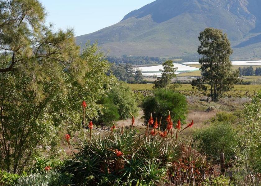 surrounding environment