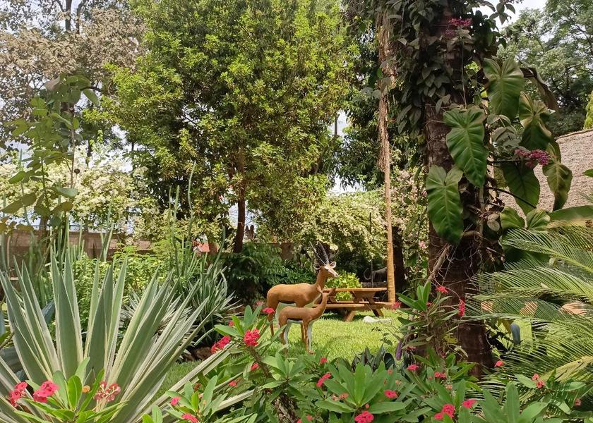 Kilimanjaro Region Moshi garden