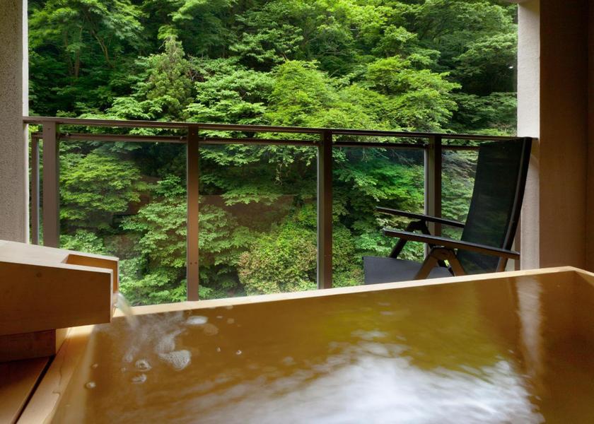 Fukushima Aizuwakamatsu bathroom