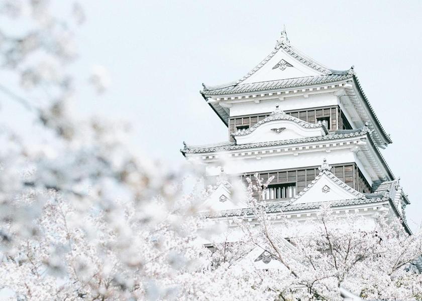 Ehime Ozu 