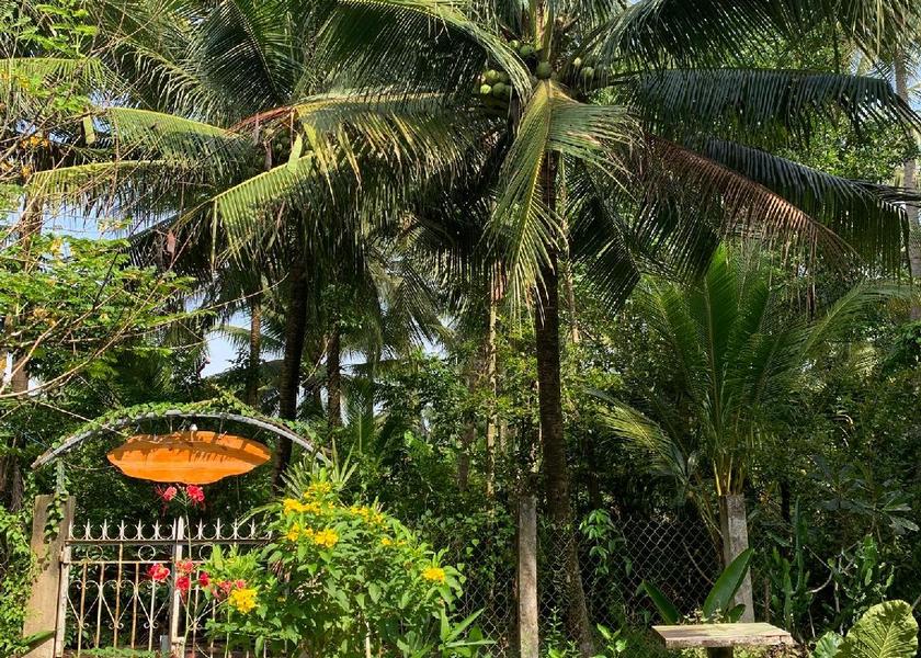 Vinh Long Province Chau Thanh 