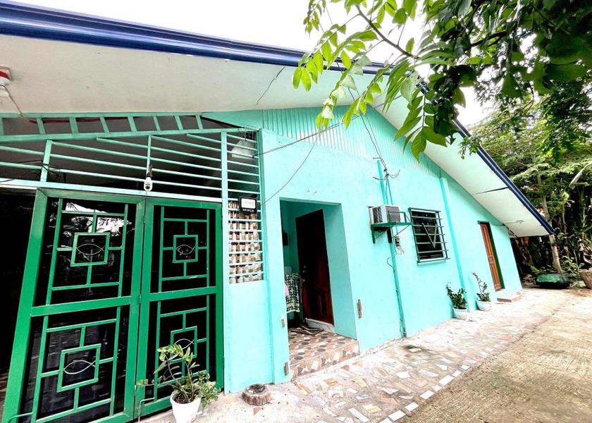 Central Visayas Badian 