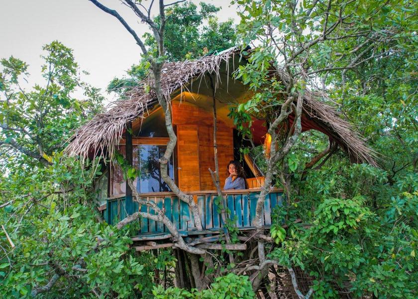 surrounding environment