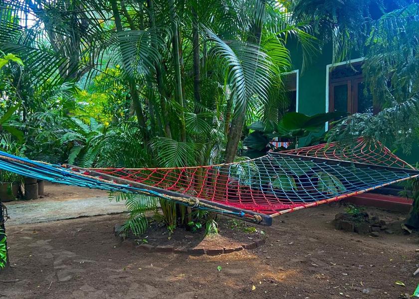 surrounding environment