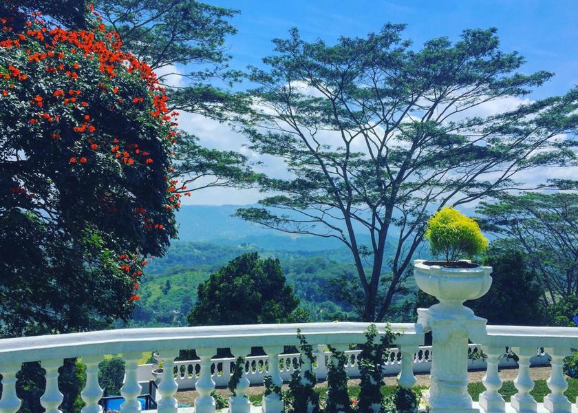 surrounding environment