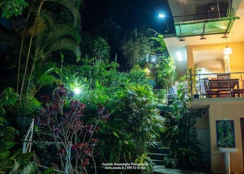 Central Province Kandy garden