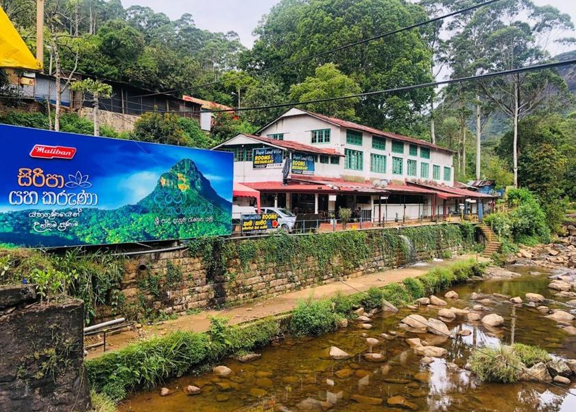 surrounding environment