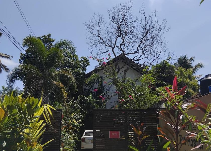 Matara District Mirissa view