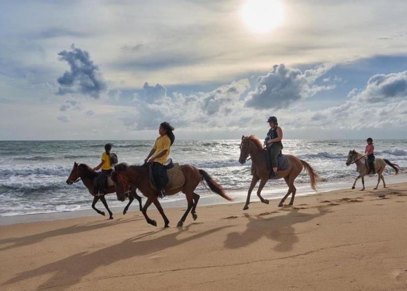 Phuket Province Mai Khao horseback riding