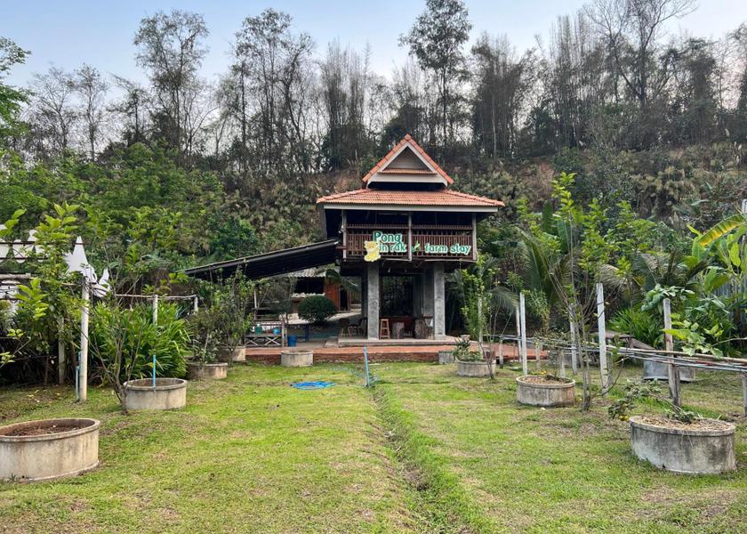 surrounding environment