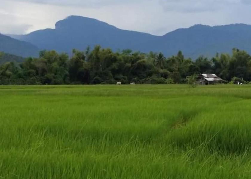 surrounding environment