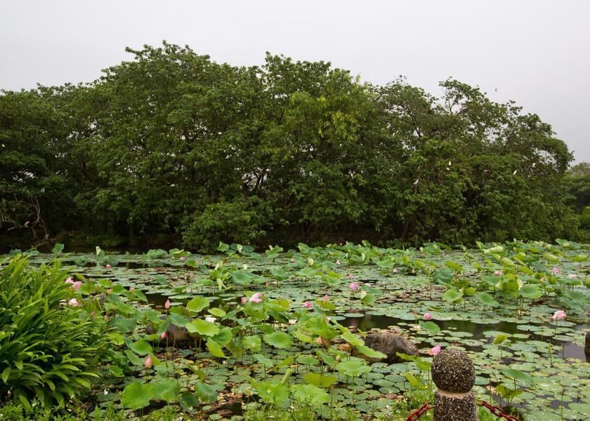 Taitung County Guanshan 