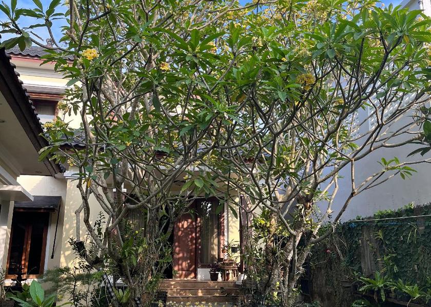  Yogyakarta Hotel Exterior