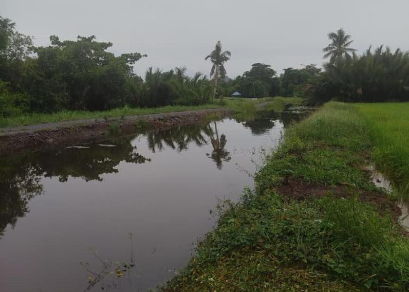 Perlis Kangar 