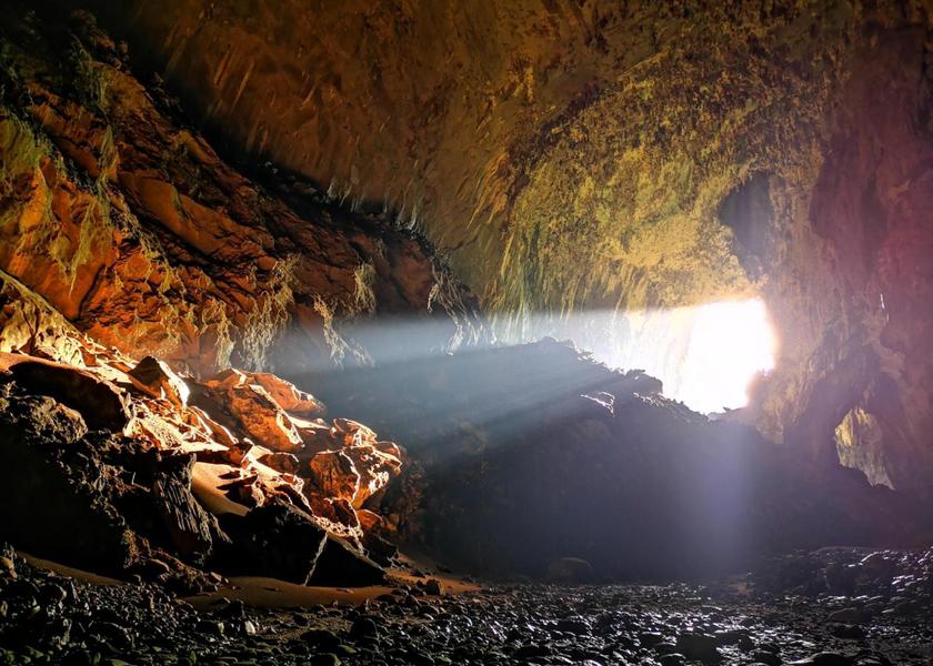 surrounding environment