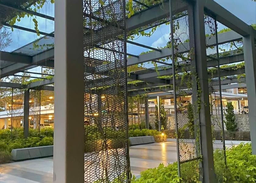 Sabah Sandakan garden