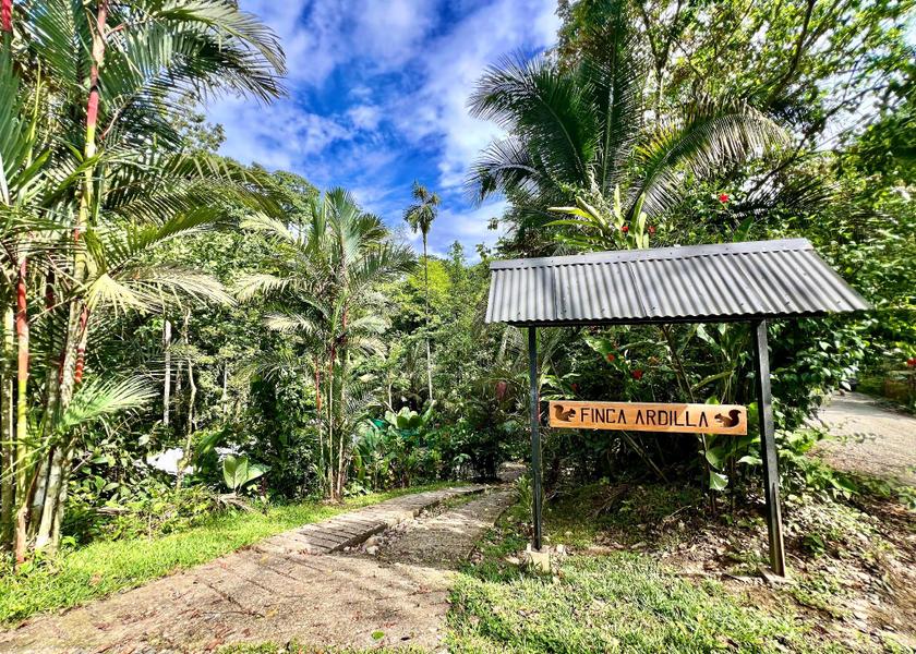 Limón Province Cahuita 