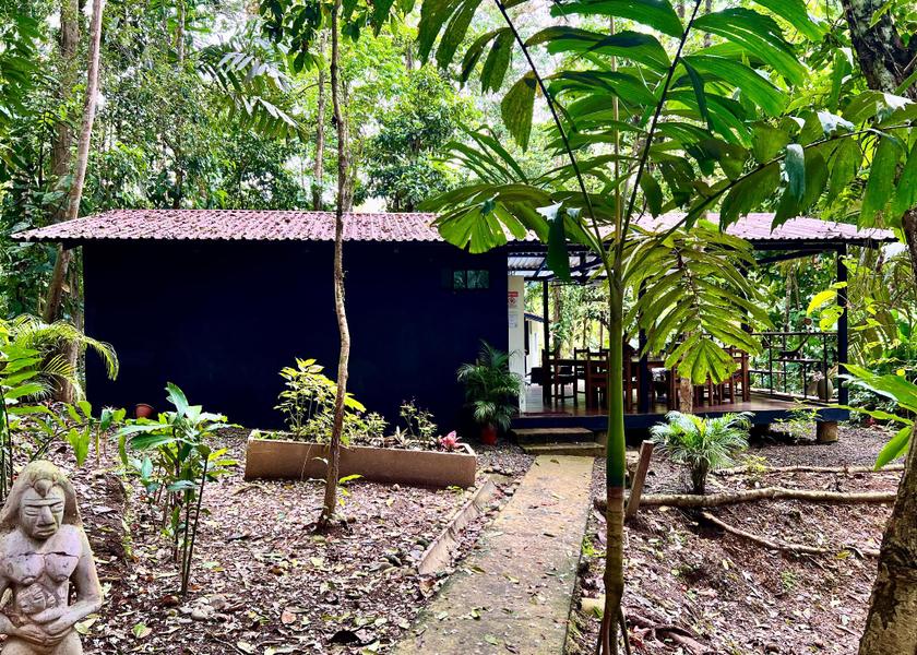 Limón Province Cahuita 