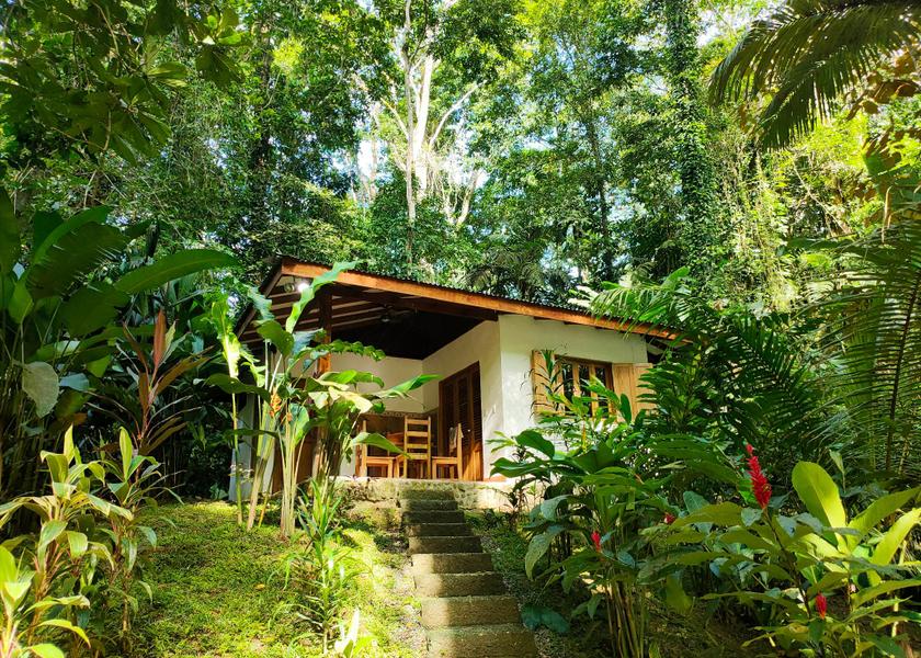 Limón Province Cahuita Hotel Exterior
