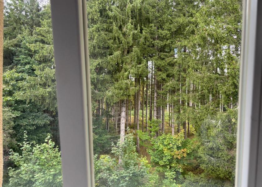 Karlovy Vary Region Marianske Lazne 