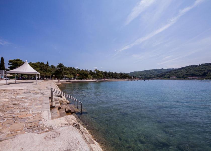 surrounding environment