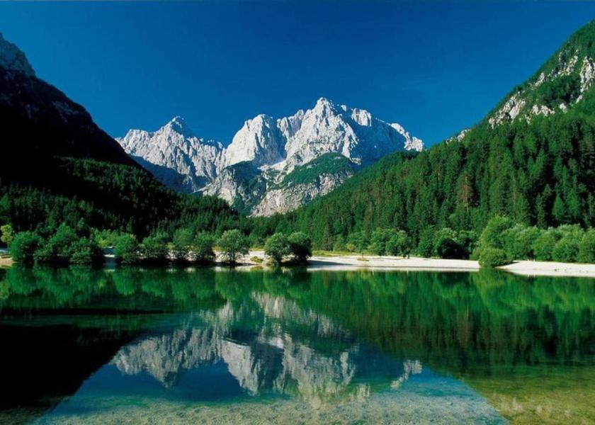 surrounding environment