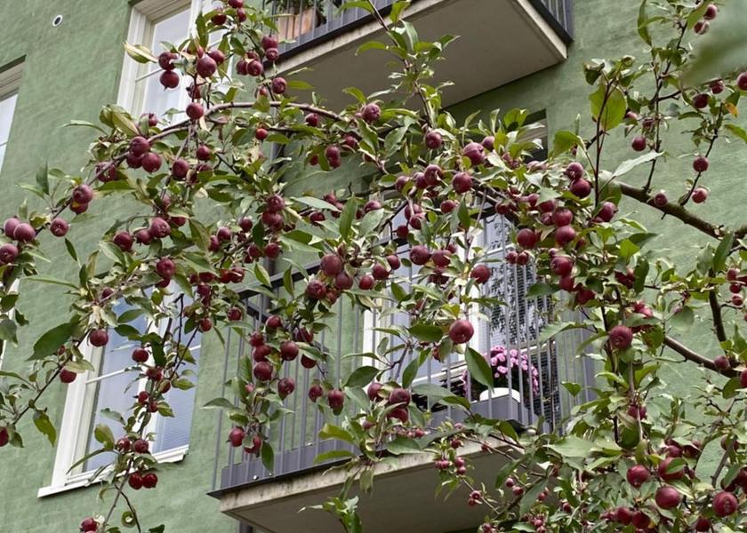  Helsinki exterior view