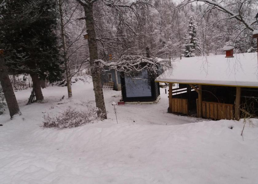 Rovaniemi Rovaniemi garden