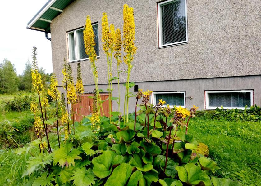 Kokkola Kokkola exterior view