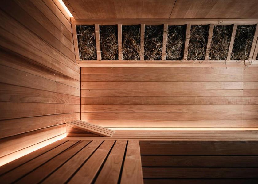 Canton of Ticino Locarno sauna