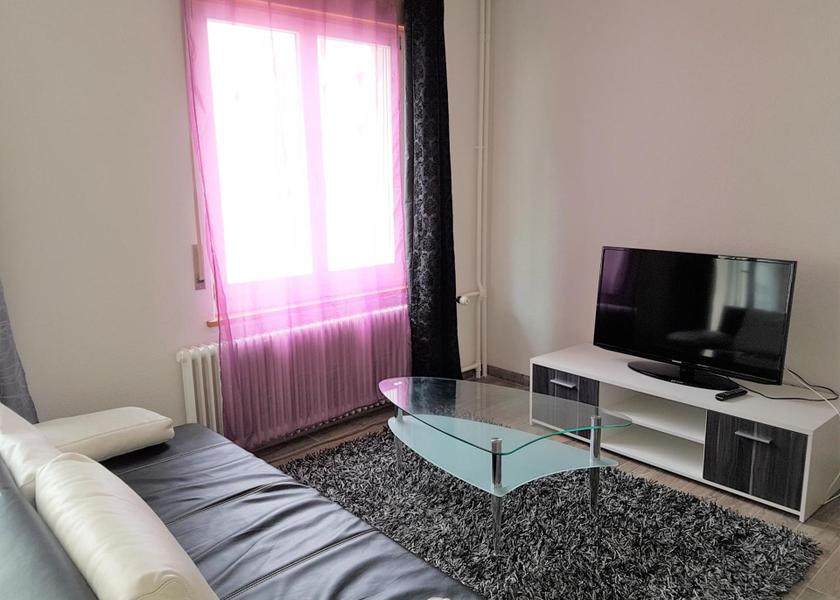 Canton of Bern Interlaken Apartment with Mountain View