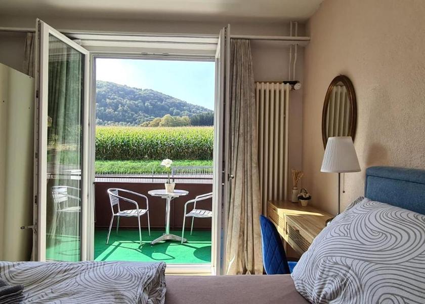 Canton of Solothurn Olten Apartment - Ground Floor