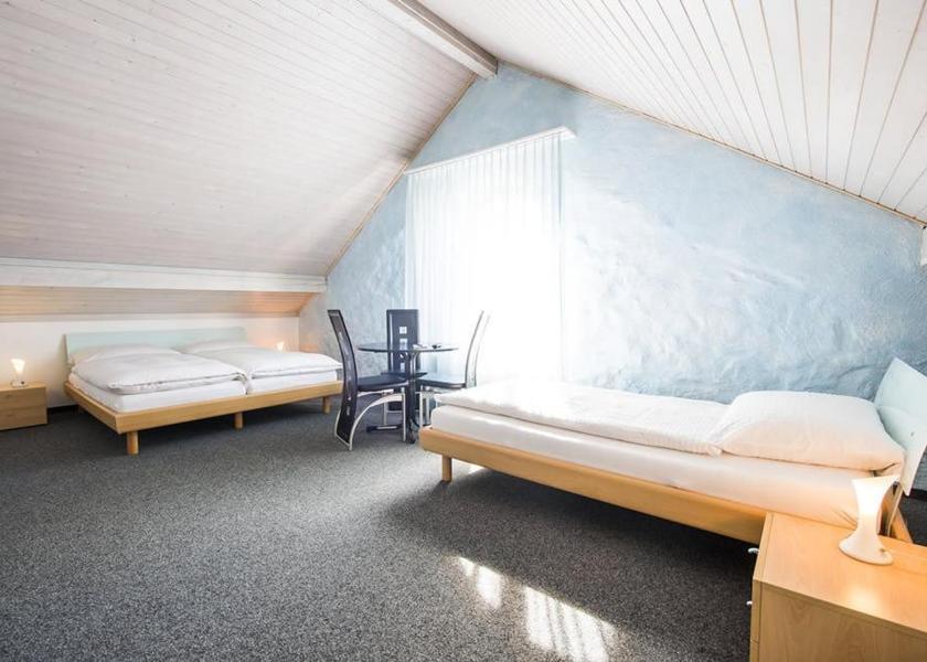 Canton of Zurich Winterthur Single Room with Shower