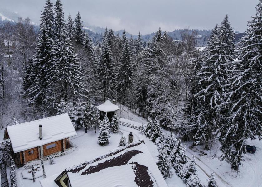 Brașov County Brasov 