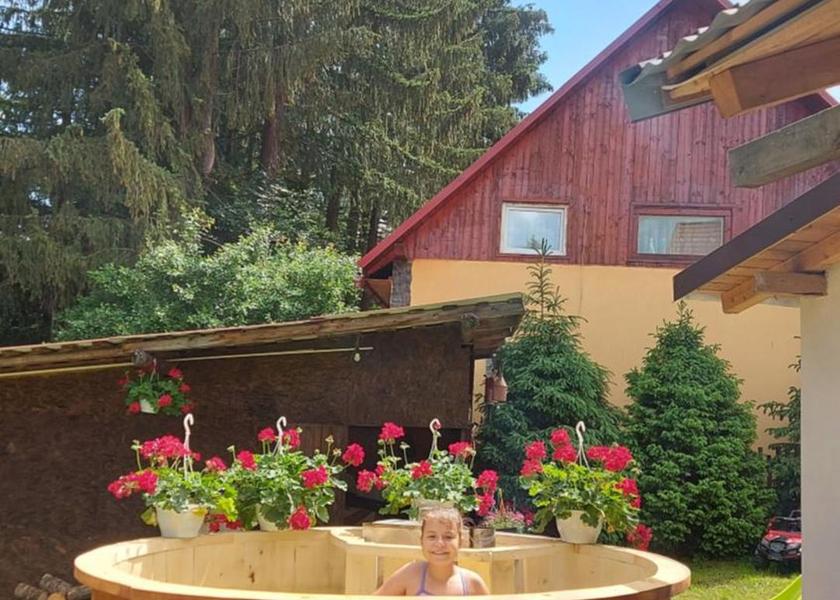  Hunedoara exterior view