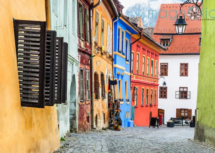 surrounding environment