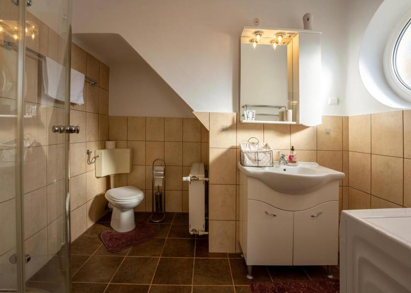  Sighisoara Double Room with Private Bathroom
