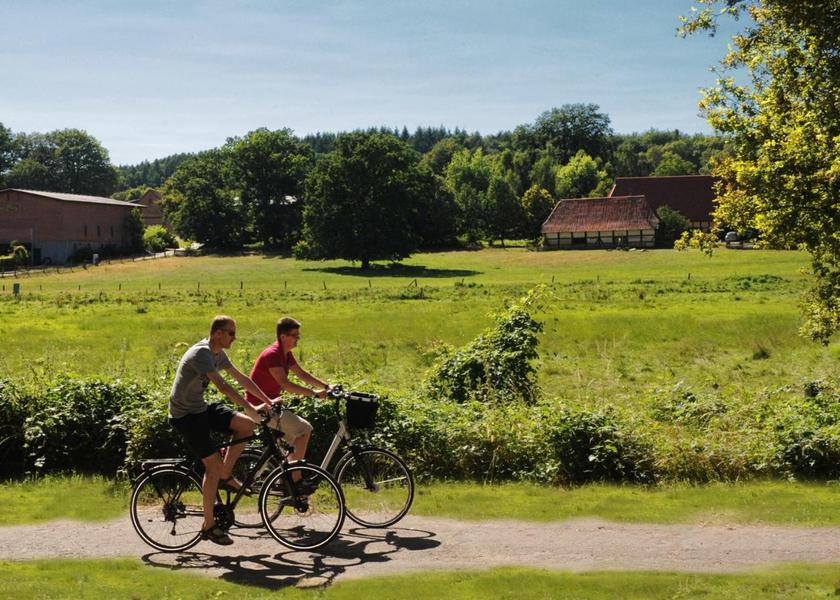 surrounding environment