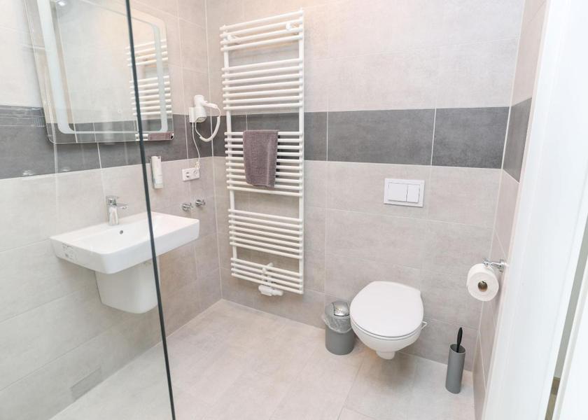 Saxony-Anhalt Merseburg Double Room with Private Bathroom