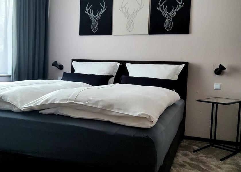 North Rhine-Westphalia Düsseldorf Budget Double Room