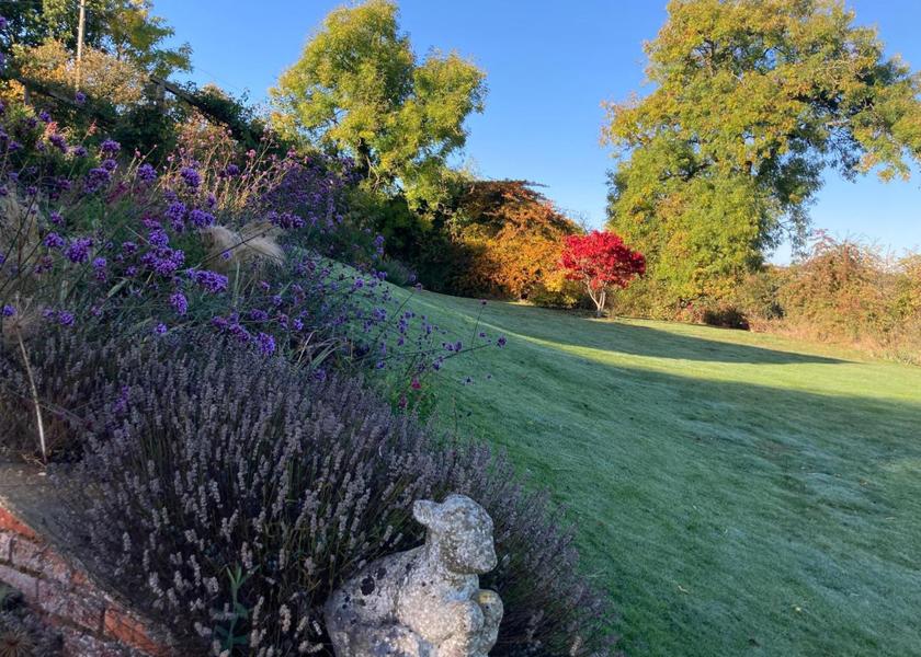 England Daventry garden