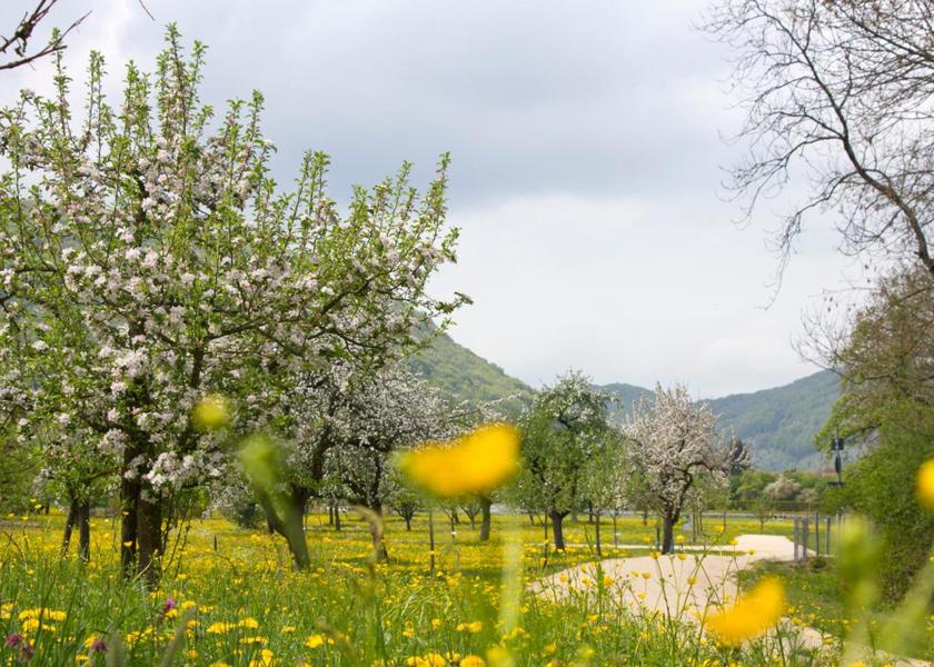 Baden-Württemberg Bad Ditzenbach 