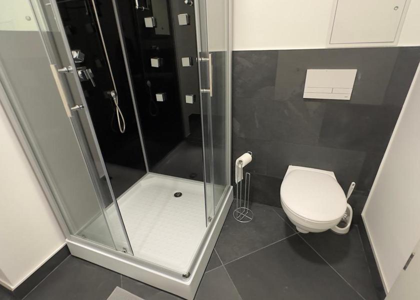 Saxony-Anhalt Halle (Saale) Double Room with Private Bathroom