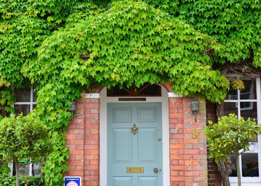 England Steyning garden