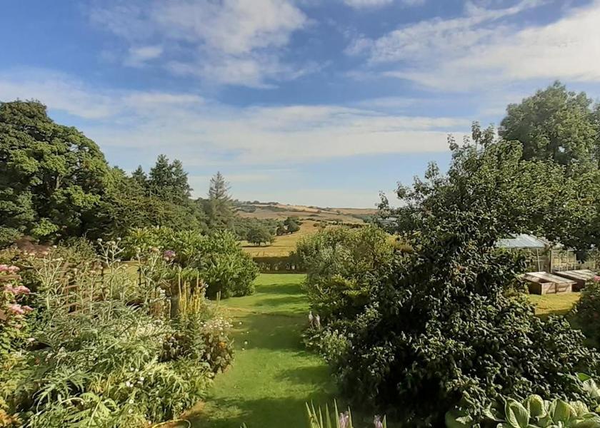 surrounding environment