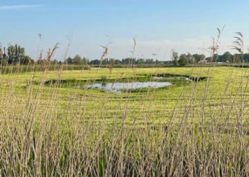 Flemish Region Zuienkerke surrounding environment