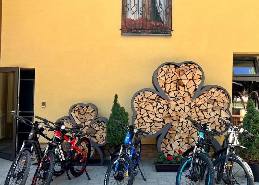 sports and activities