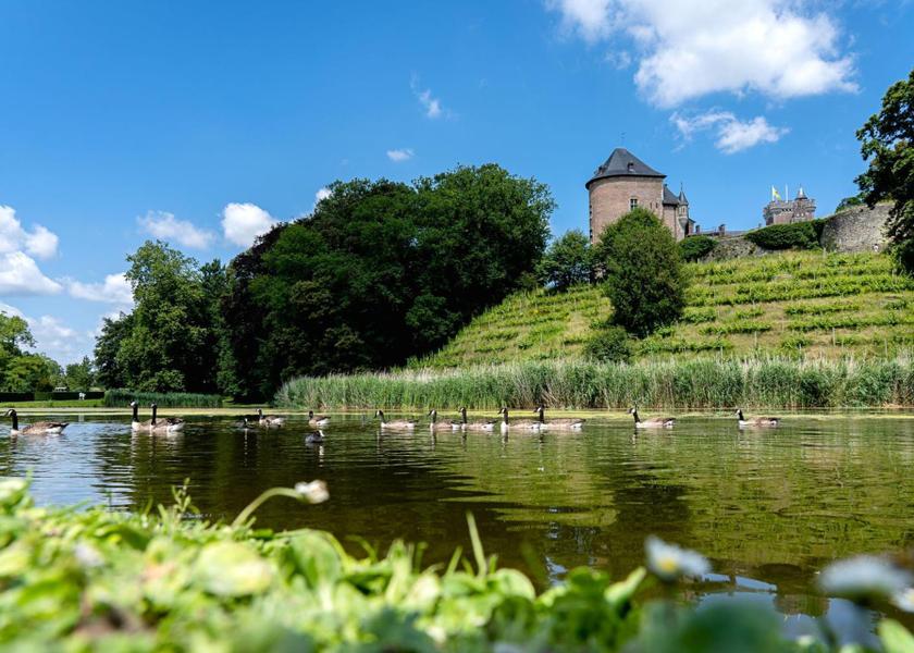 surrounding environment